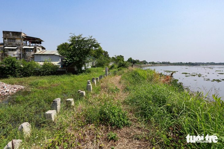 Cách nào khắc phục chậm trễ ở dự án chống sạt lở bán đảo Thanh Đa?- Ảnh 1. Đoạn 4 của dự án chống sạt lở bán đảo Thanh Đa (quận Bình Thạnh, TP.HCM) xây dựng chây ì mãi chưa xong. Hiện tại bờ kè liêu xiêu, cỏ cây mọc um tùm - Ảnh: CHÂU TUẤN