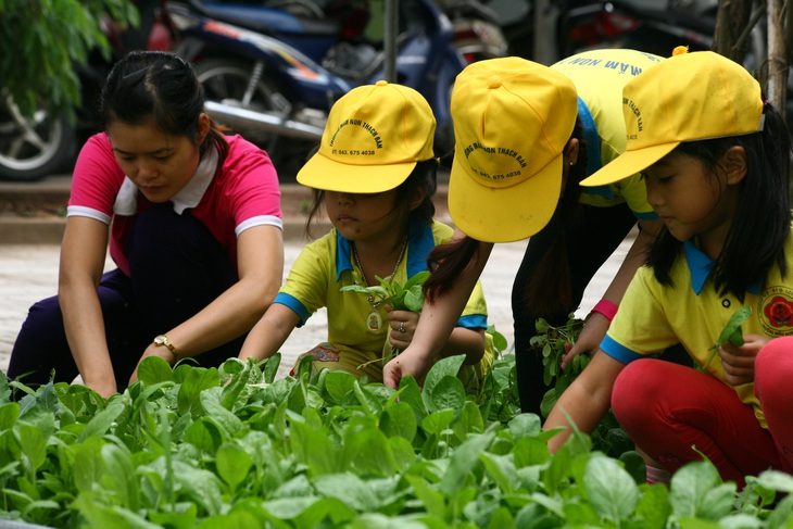 Giờ dạy trẻ lao động ở Trường mầm non Thạch Bàn (Hà Nội) - Ảnh: VĨNH HÀ